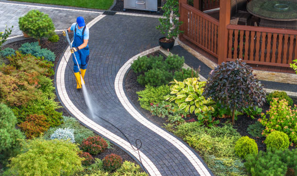 Best Roof Power Washing Services  in Conway, FL
